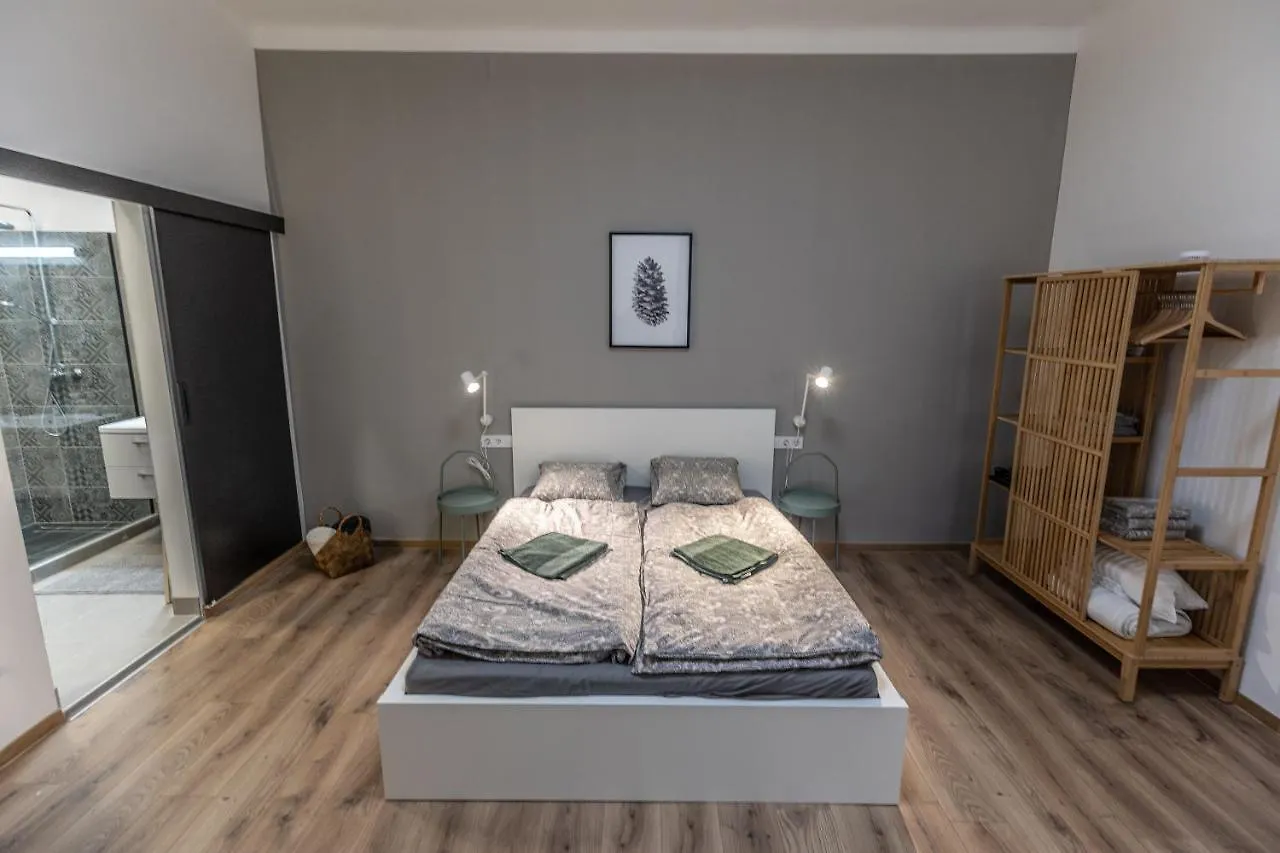 Design Studios Downtown Budapest Apartment